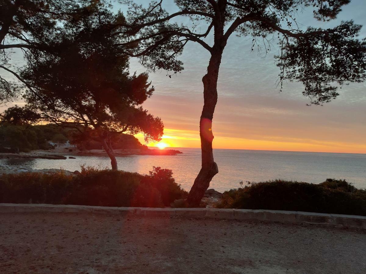 Can Caragol Cala Ratjada  Dış mekan fotoğraf