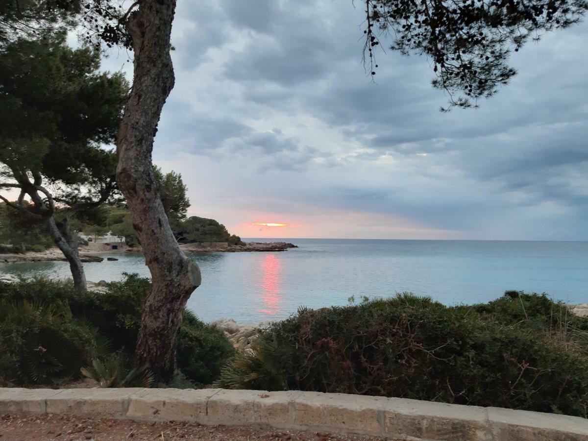Can Caragol Cala Ratjada  Dış mekan fotoğraf